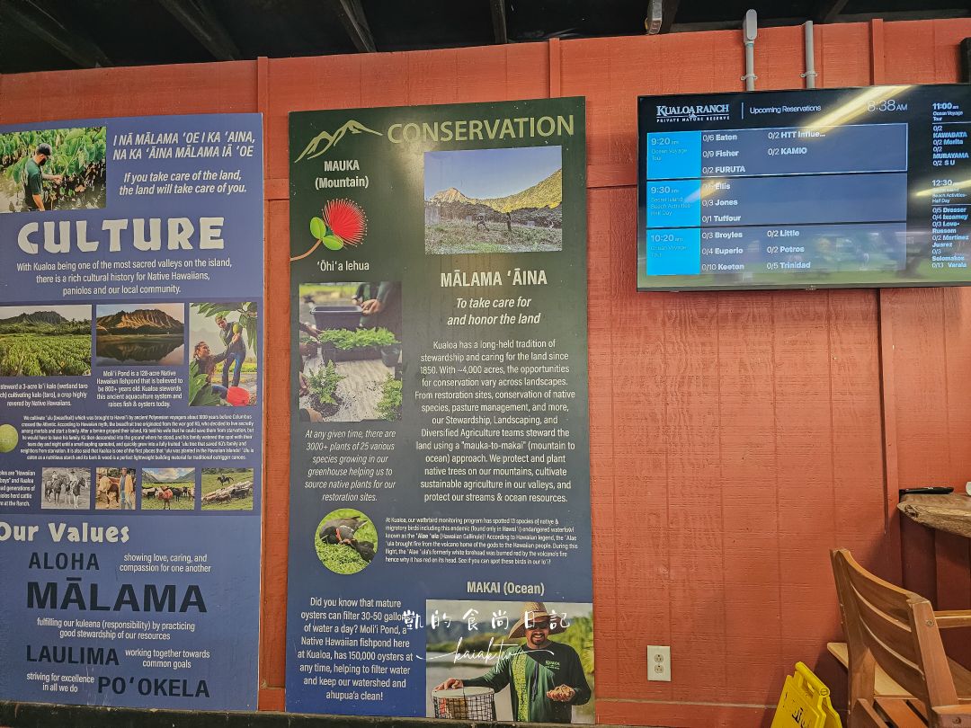 古蘭尼牧場Kualoa Ranch一日遊！侏羅紀越野UTV、海洋巡航體驗｜恐龍迷朝聖的夢想之地