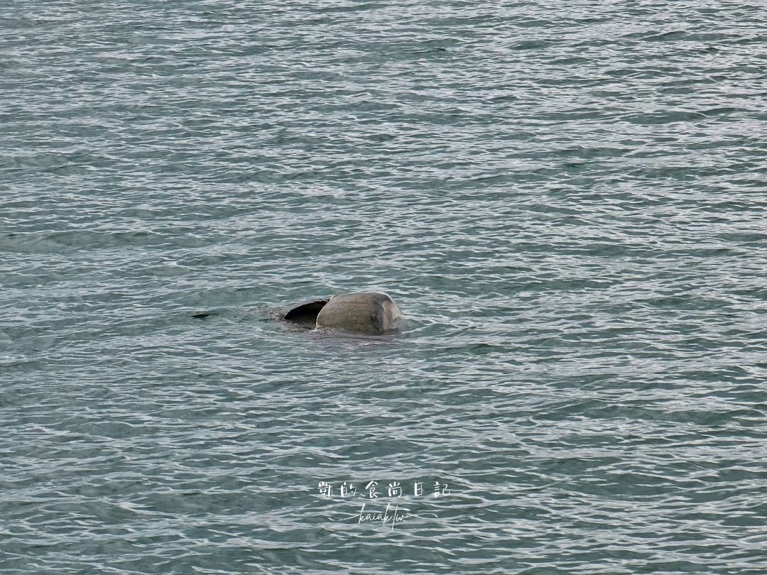 古蘭尼牧場Kualoa Ranch一日遊！侏羅紀越野UTV、海洋巡航體驗｜恐龍迷朝聖的夢想之地