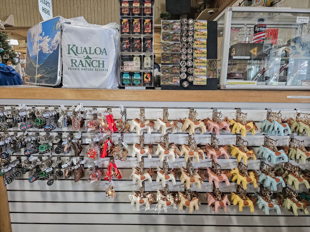 古蘭尼牧場Kualoa Ranch一日遊！侏羅紀越野UTV、海洋巡航體驗｜恐龍迷朝聖的夢想之地