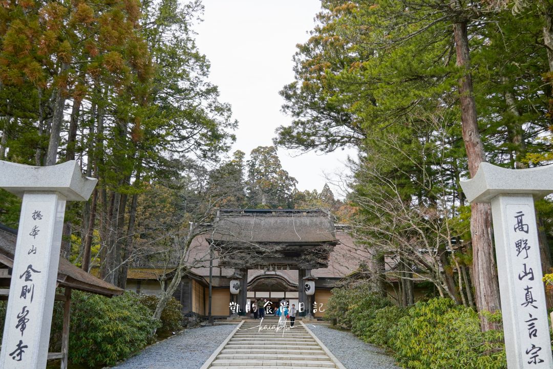 高野山一日遊怎麼玩？壇上伽藍、金剛峯寺、夜訪奧之院必訪清單