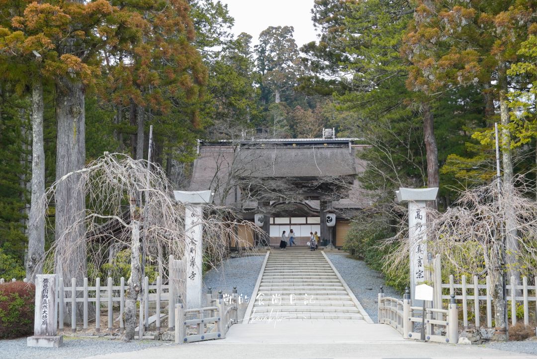 高野山一日遊怎麼玩？壇上伽藍、金剛峯寺、夜訪奧之院必訪清單