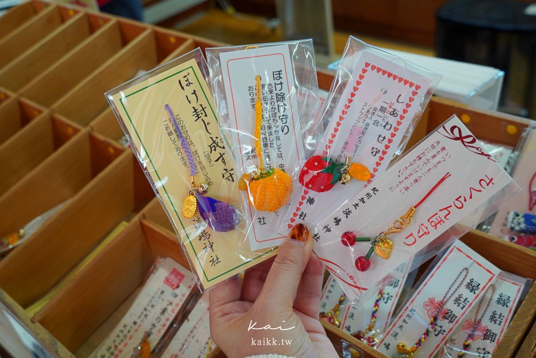 和歌山鯛魚電車一日遊｜加太線搭乘方式＋時刻表重點整理，一日遊路線這樣排最順