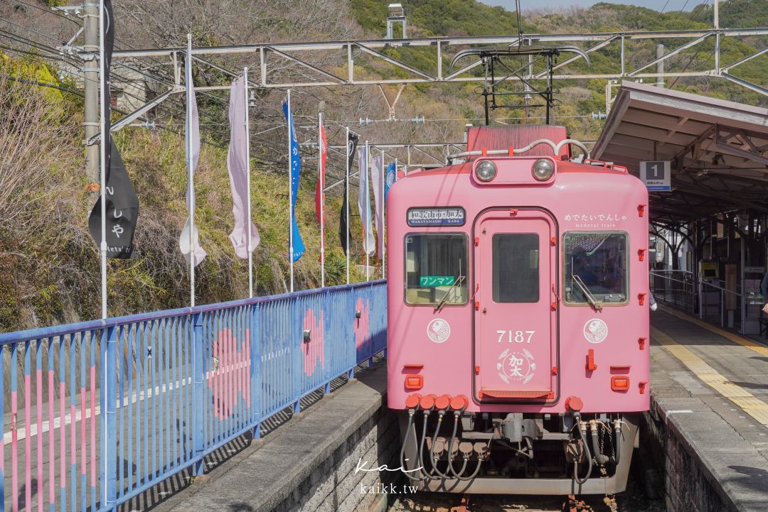 和歌山鯛魚電車一日遊｜加太線搭乘方式＋時刻表重點整理，一日遊路線這樣排最順