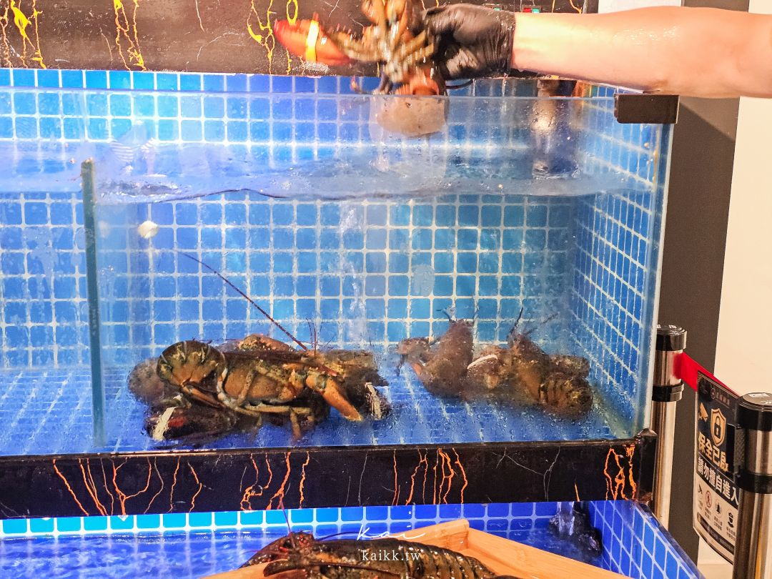 台北雞湯愛馬仕！鮑魚雞湯火鍋推薦星曜雞湯。中山站奢華鍋人蔘花膠全雞鮮鮑金湯太霸氣