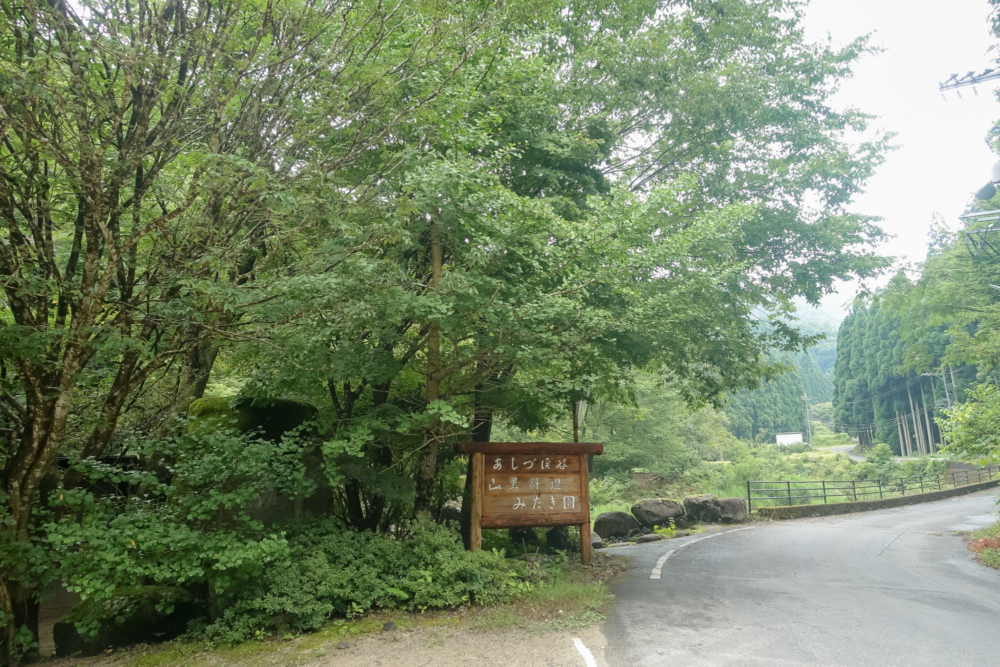 鳥取米其林指南三滝園｜智頭森林裡吃山女魚、山菜。茅草古民家中的山林饗宴