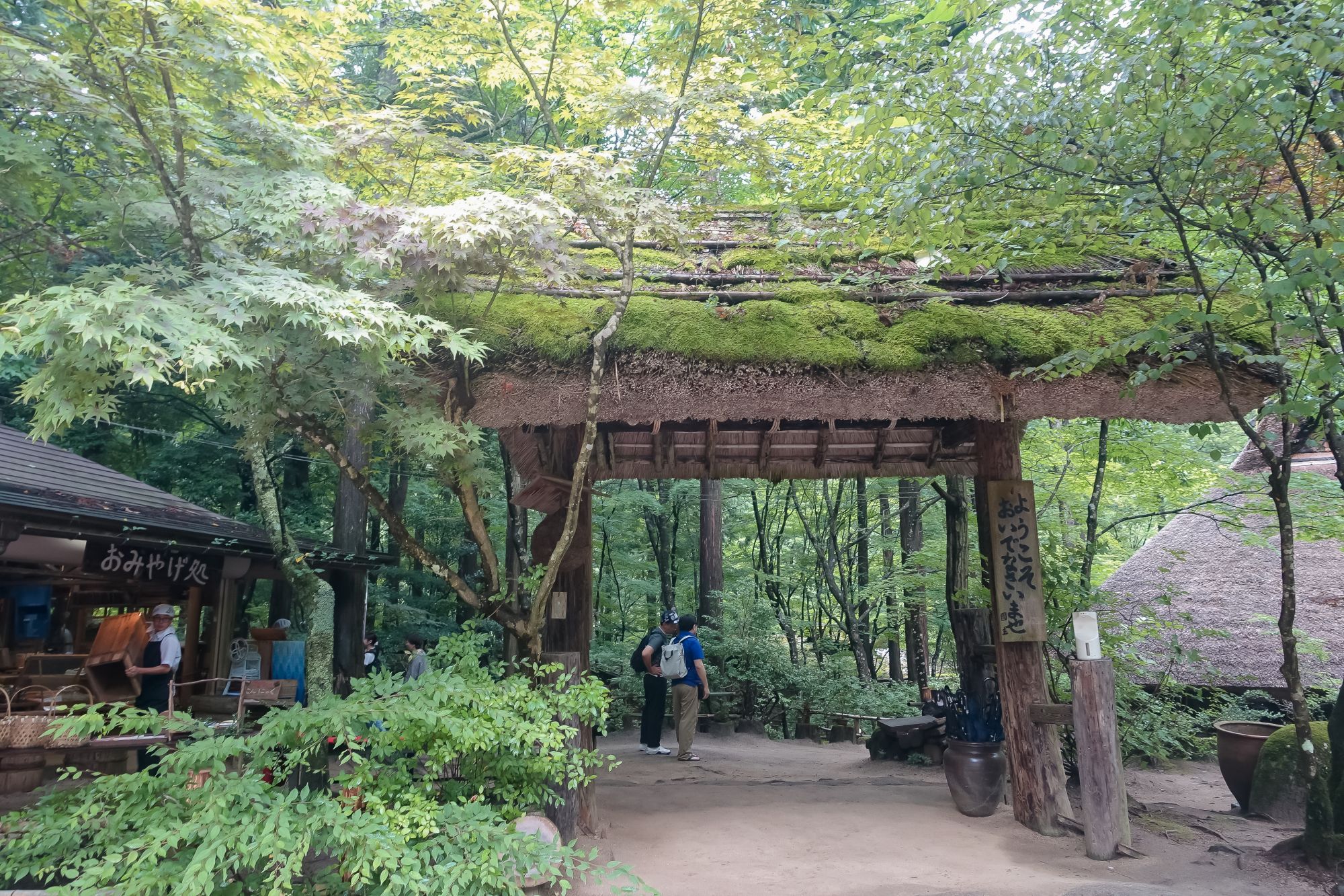 鳥取米其林指南三滝園|智頭森林裡吃山女魚、山菜。茅草古民家中的山林饗宴 鳥取米其林指南三滝園|智頭森林裡吃山女魚、山菜。茅草古民家中的山林饗宴