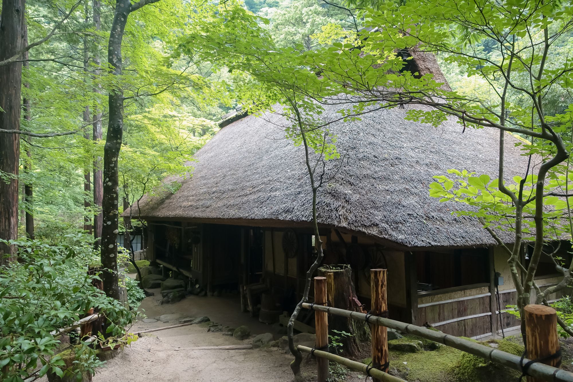 鳥取米其林指南三滝園｜智頭森林裡吃山女魚、山菜。茅草古民家中的山林饗宴