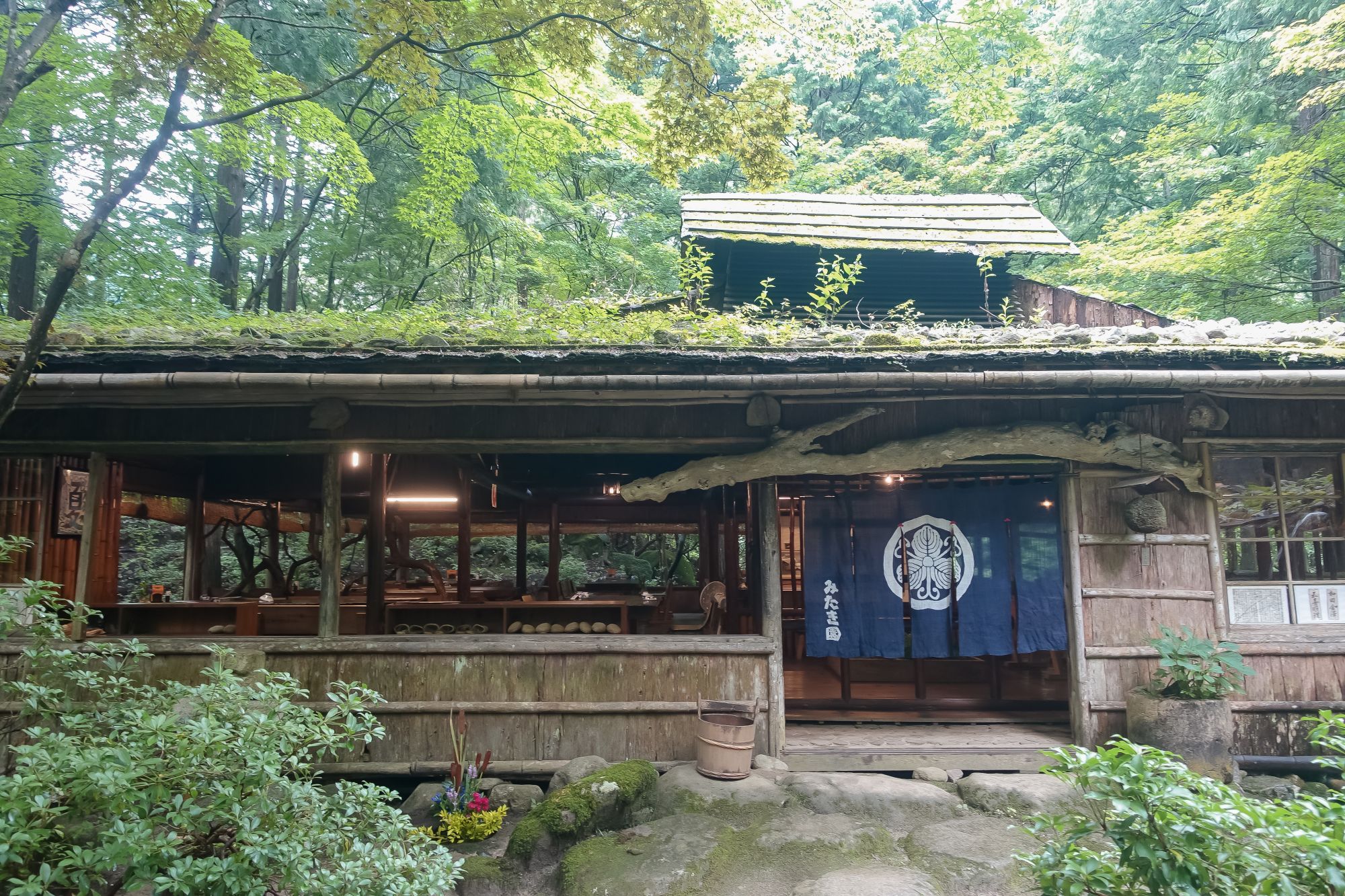 鳥取米其林指南三滝園|智頭森林裡吃山女魚、山菜。茅草古民家中的山林饗宴 鳥取米其林指南三滝園|智頭森林裡吃山女魚、山菜。茅草古民家中的山林饗宴