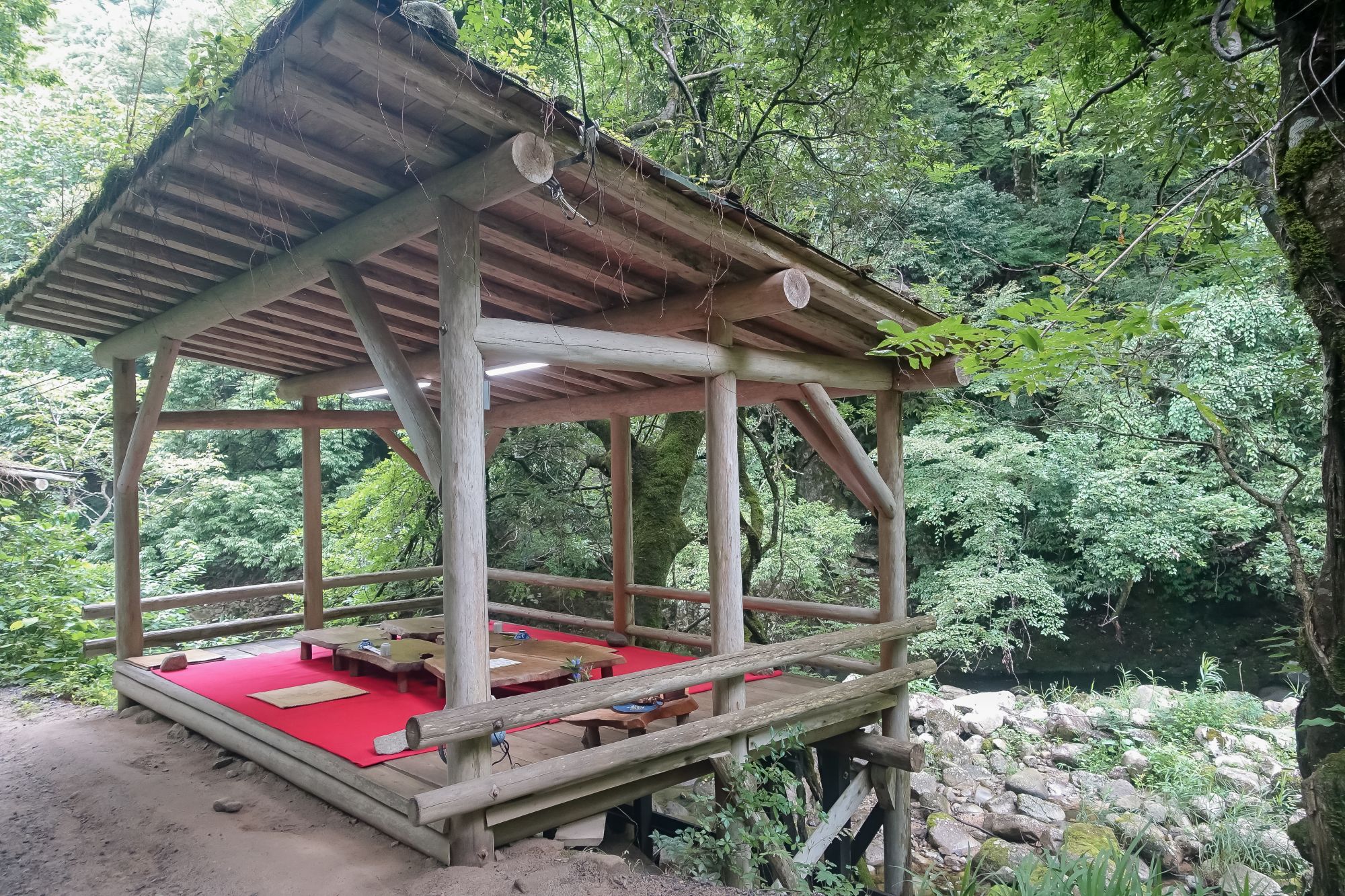 鳥取米其林指南三滝園｜智頭森林裡吃山女魚、山菜。茅草古民家中的山林饗宴