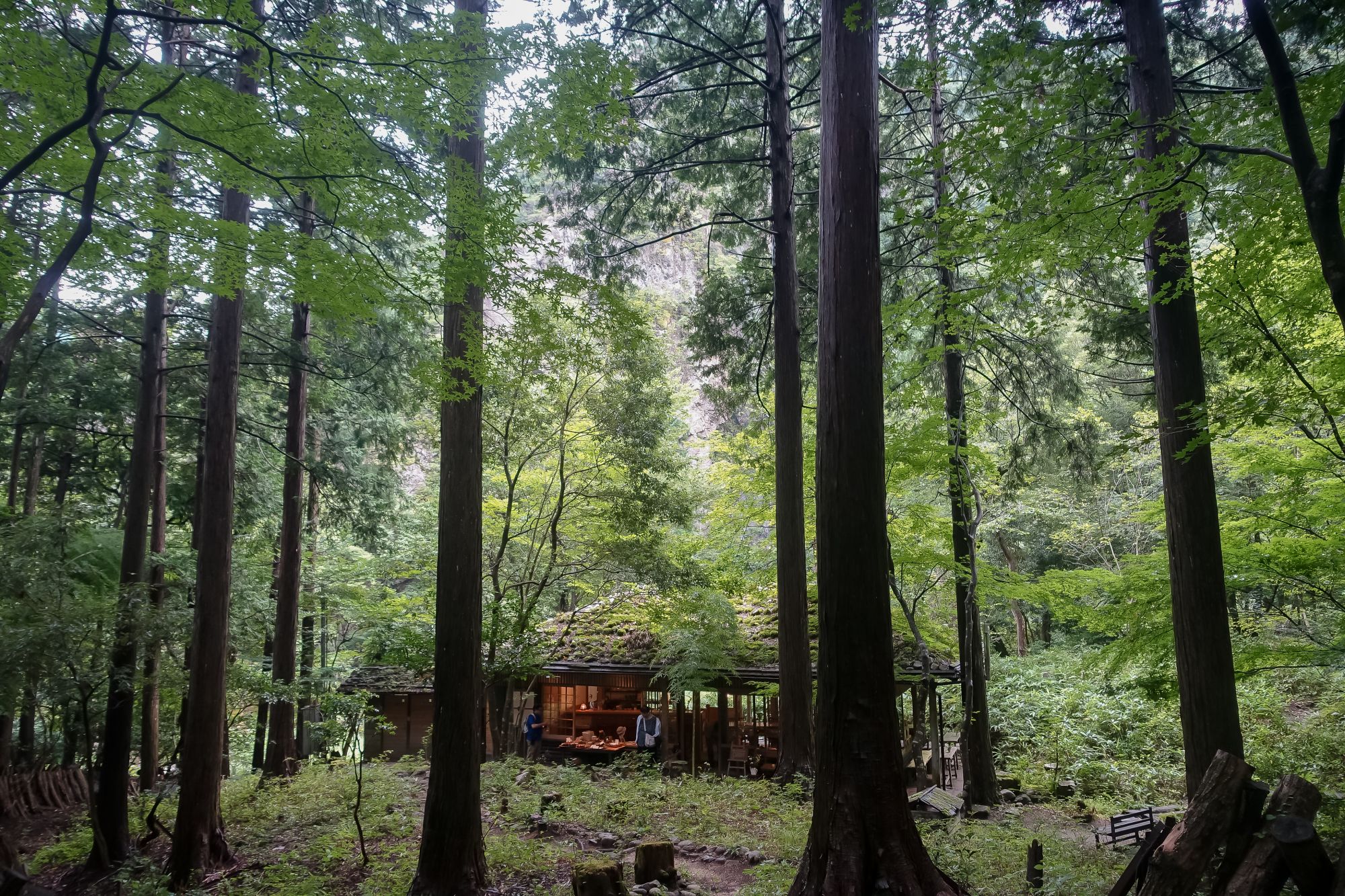 鳥取米其林指南三滝園｜智頭森林裡吃山女魚、山菜。茅草古民家中的山林饗宴