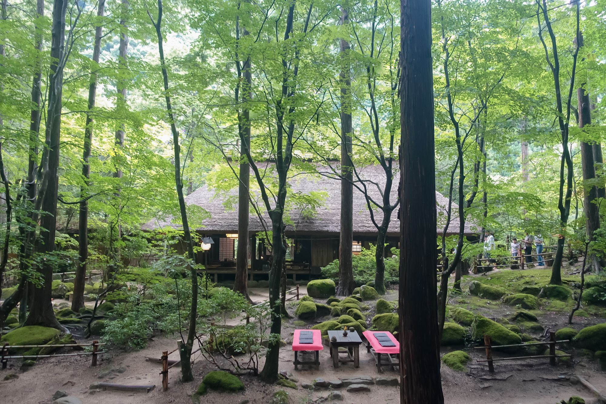 鳥取米其林指南三滝園|智頭森林裡吃山女魚、山菜。茅草古民家中的山林饗宴 鳥取米其林指南三滝園|智頭森林裡吃山女魚、山菜。茅草古民家中的山林饗宴