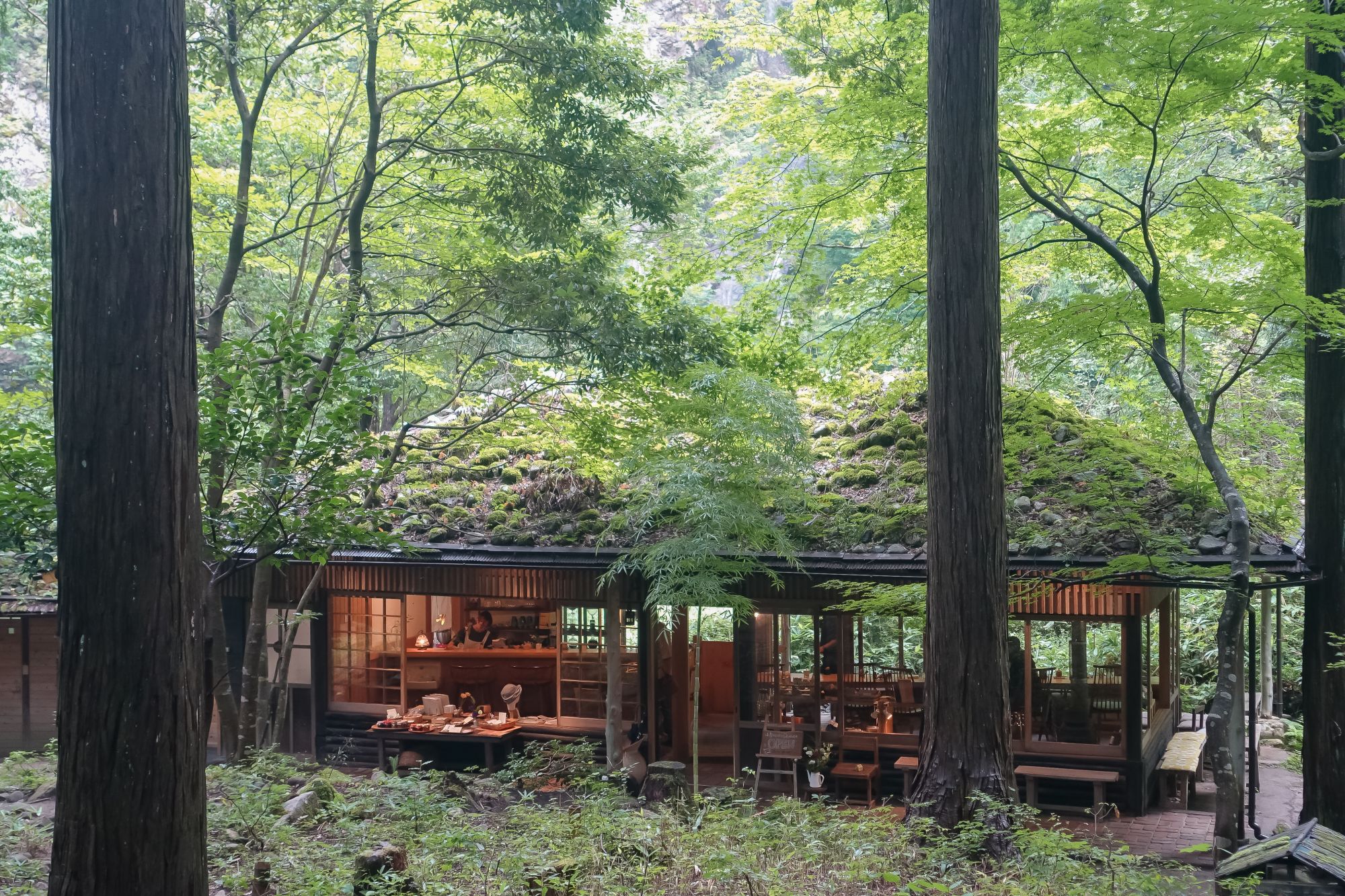 鳥取米其林指南三滝園|智頭森林裡吃山女魚、山菜。茅草古民家中的山林饗宴 鳥取米其林指南三滝園|智頭森林裡吃山女魚、山菜。茅草古民家中的山林饗宴