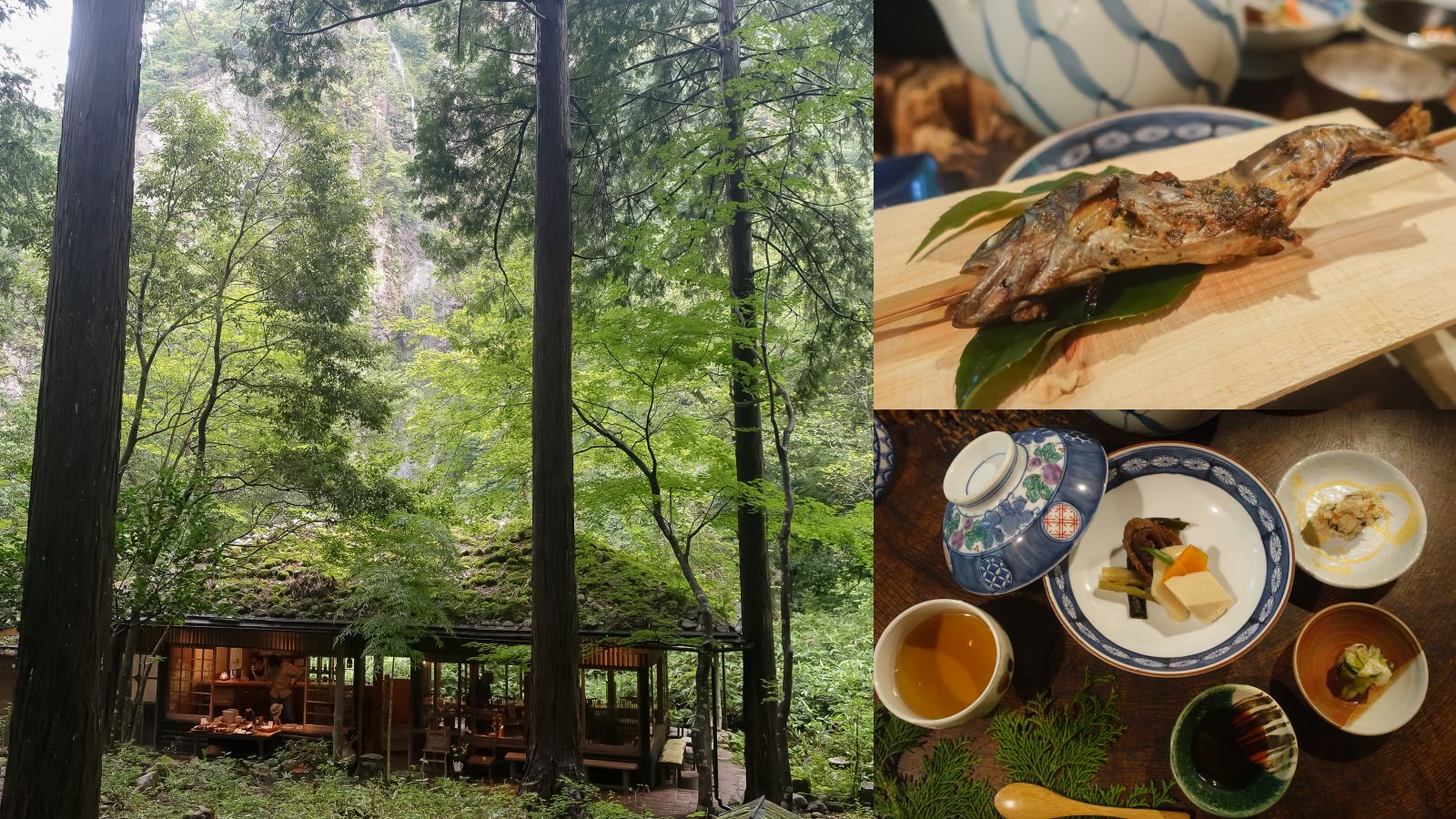 鳥取米其林指南三滝園｜智頭森林裡吃山女魚、山菜。茅草古民家中的山林饗宴 @凱的日本食尚日記