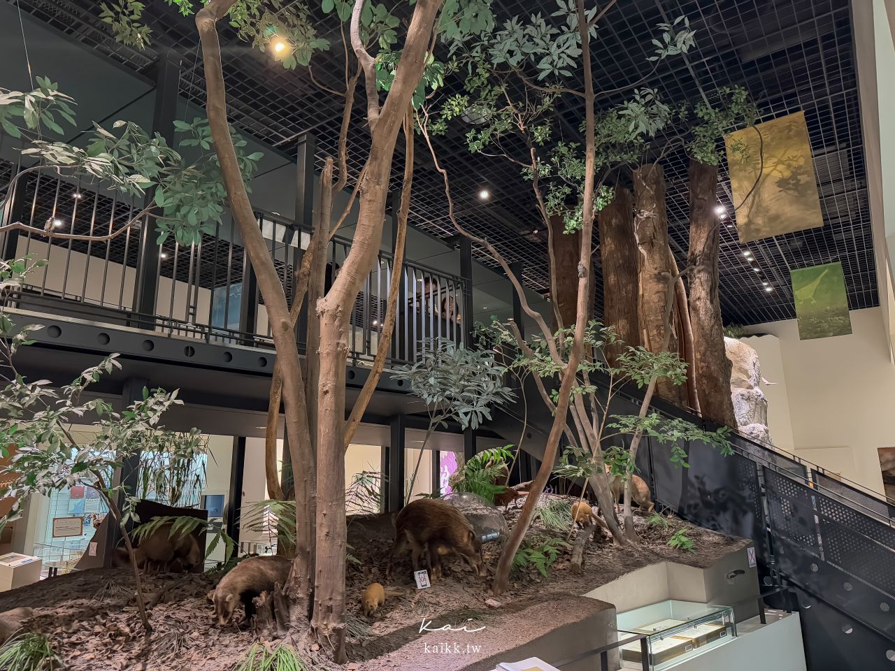 福岡北九州生命之旅博物館｜超震撼恐龍化石博物館。會動的恐龍世界、門票交通、必看展區攻略