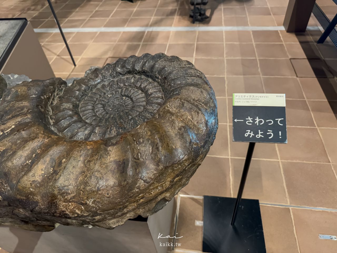 福岡北九州生命之旅博物館|超震撼恐龍化石博物館。會動的恐龍世界、門票交通、必看展區攻略 福岡北九州生命之旅博物館|超震撼恐龍化石博物館。會動的恐龍世界、門票交通、必看展區攻略
