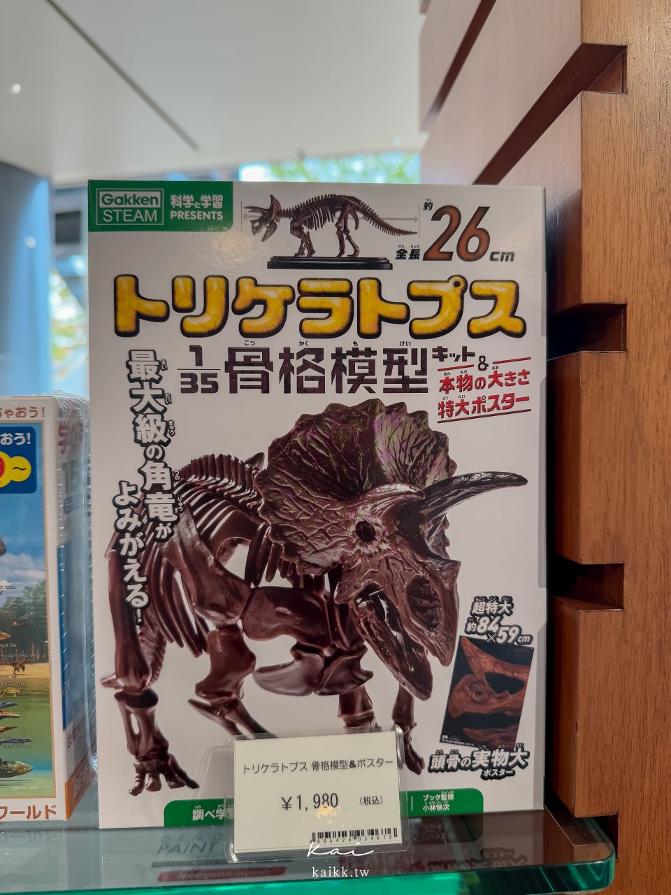 福岡北九州生命之旅博物館|超震撼恐龍化石博物館。會動的恐龍世界、門票交通、必看展區攻略 福岡北九州生命之旅博物館|超震撼恐龍化石博物館。會動的恐龍世界、門票交通、必看展區攻略