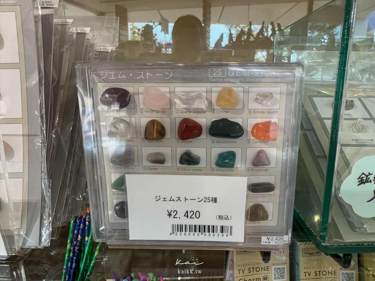福岡北九州生命之旅博物館｜超震撼恐龍化石博物館。會動的恐龍世界、門票交通、必看展區攻略