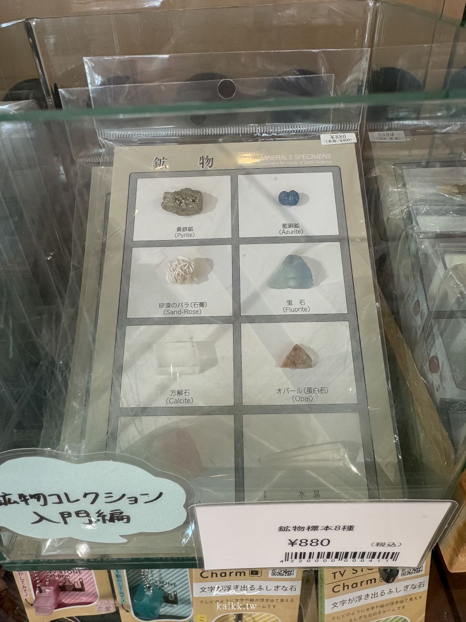 福岡北九州生命之旅博物館|超震撼恐龍化石博物館。會動的恐龍世界、門票交通、必看展區攻略 福岡北九州生命之旅博物館|超震撼恐龍化石博物館。會動的恐龍世界、門票交通、必看展區攻略