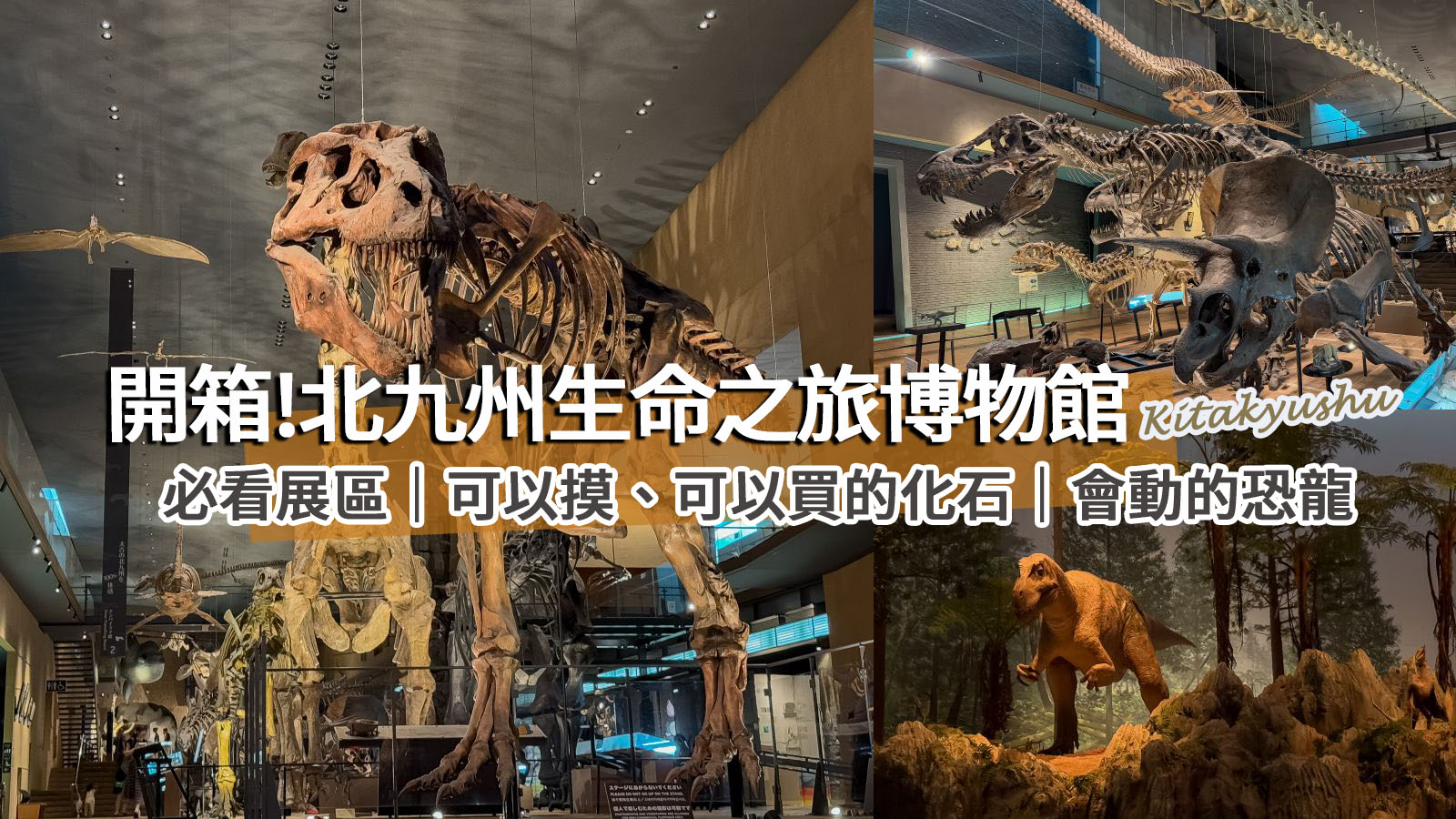 福岡北九州生命之旅博物館｜超震撼恐龍化石博物館。會動的恐龍世界、門票交通、必看展區攻略 @凱的日本食尚日記